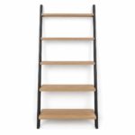 Leaning Ladder Bookcase