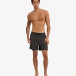 Classic Swim Shorts - Lava Grey