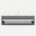 Hybrid Foam and Spring Mattress